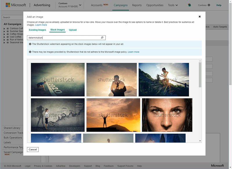 Microsoft has partnered with Shutterstock to provide free images