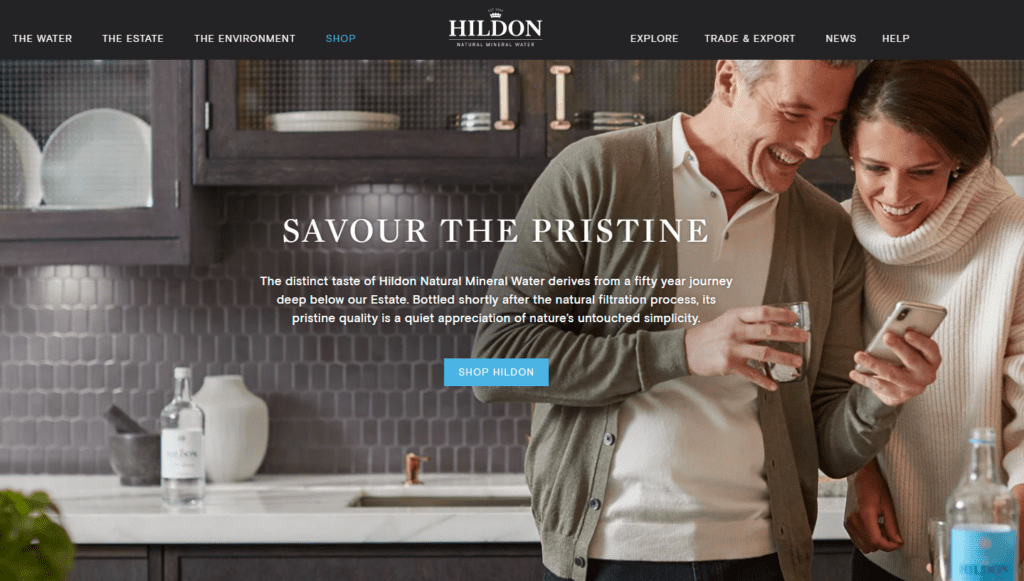 Google Ads success for Hildon Water