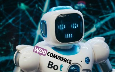 Updating Robots.txt files for WooCommerce Sites